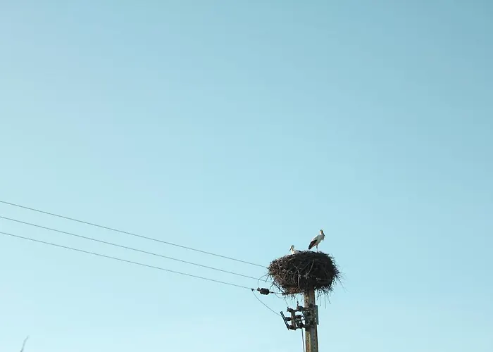 A.ti.tudo Nature Feriegård *