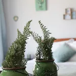 A.ti.tudo Nature בית חווה